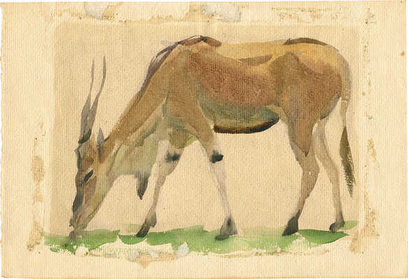 Никольский Георгий Евлампиевич. Антилопа